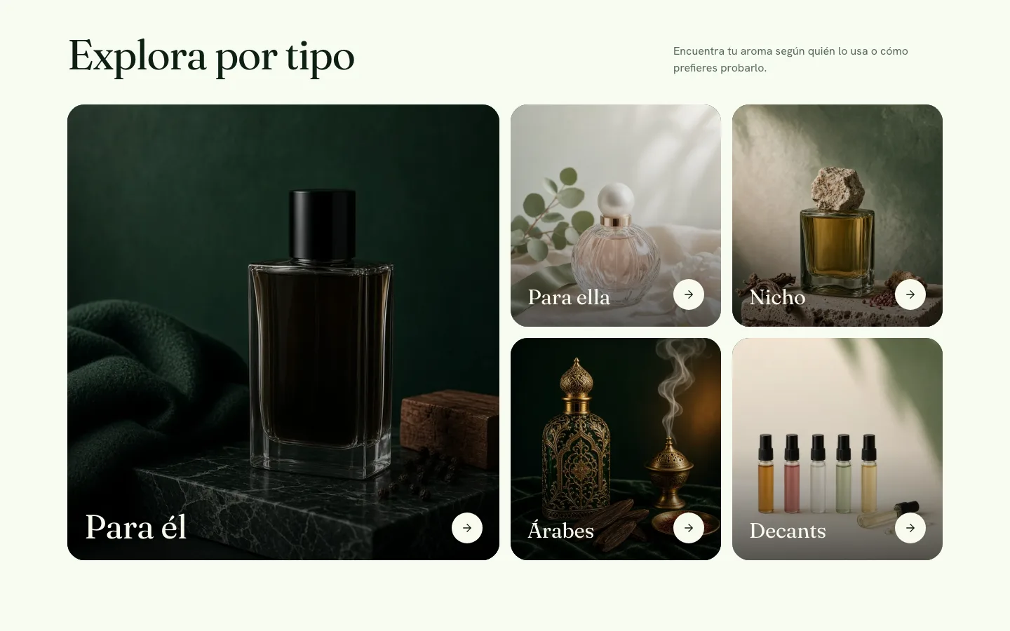 Sección para explorar perfumes por tipo